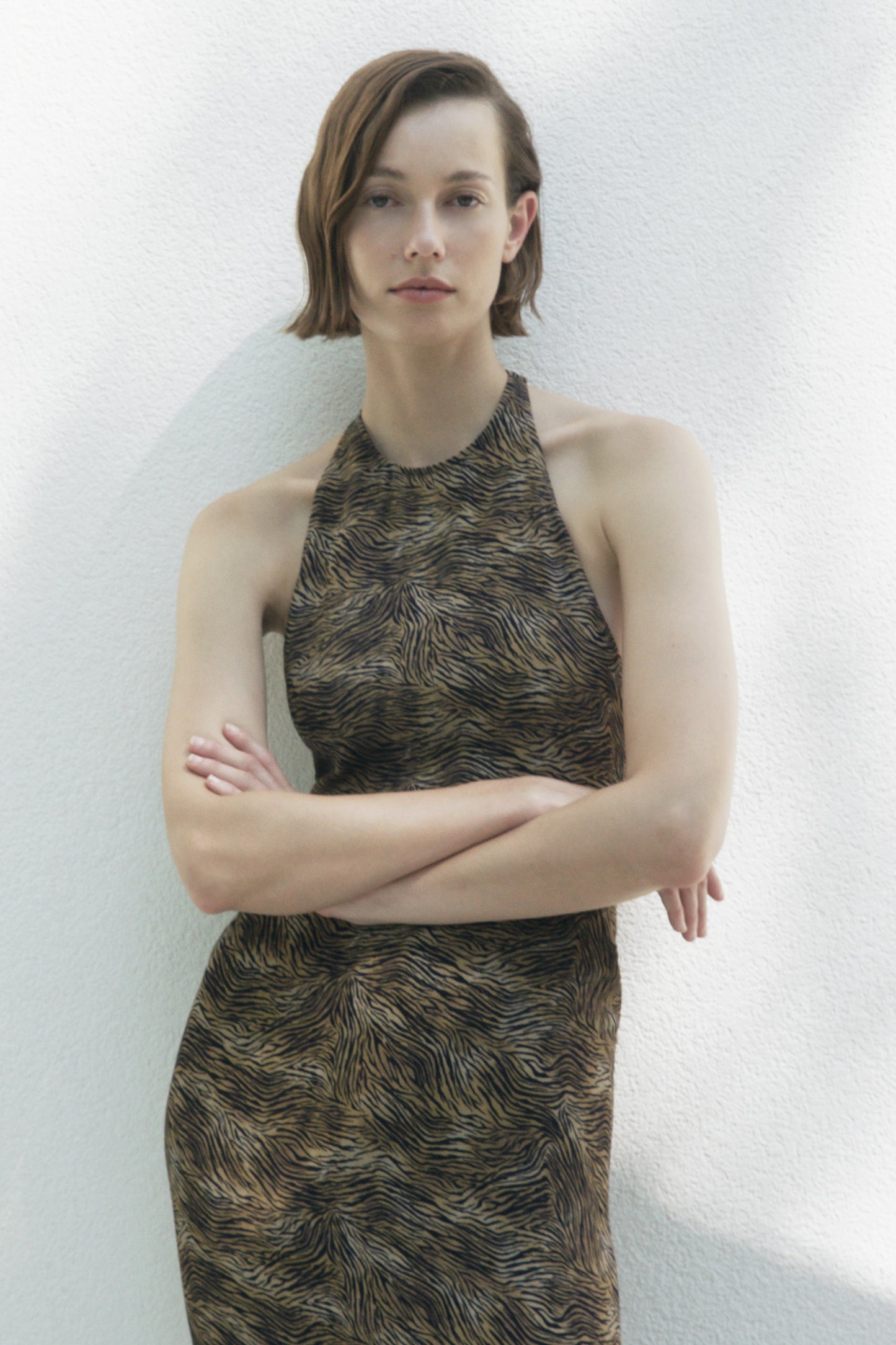 Colette Dress Zebra Print